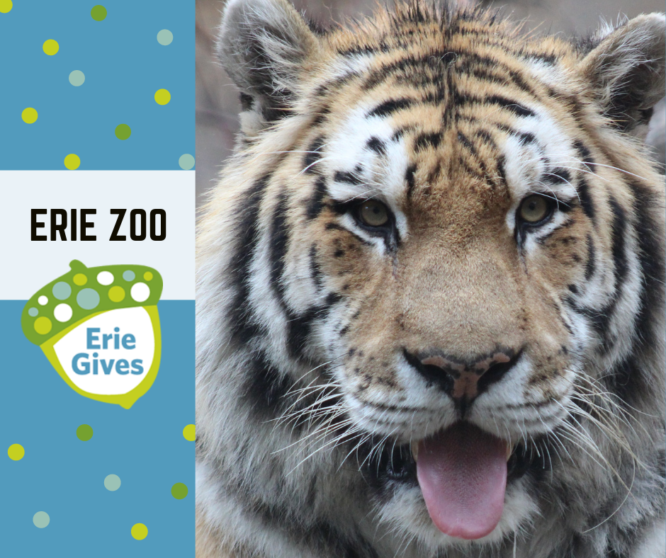 Events Erie Zoo